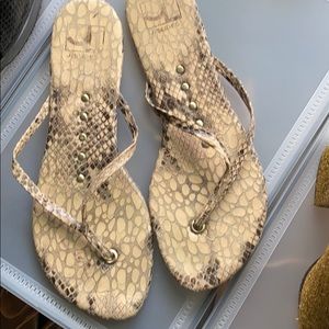 J/slides thongs size 8